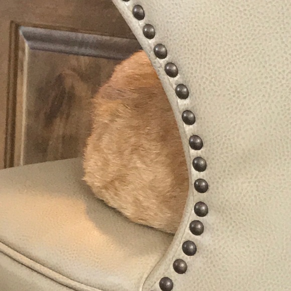 Meet your Posher, Lee - Picture 1 of 1